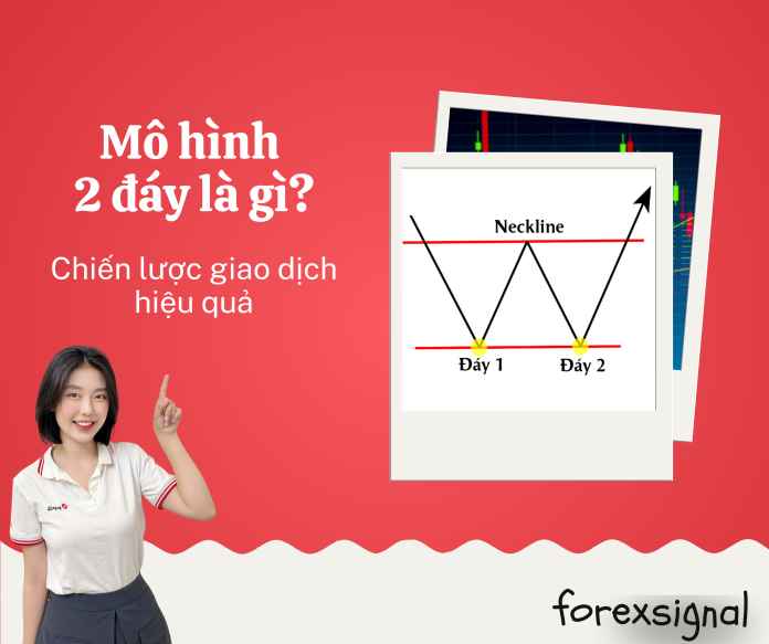 Web kiến thức (1)