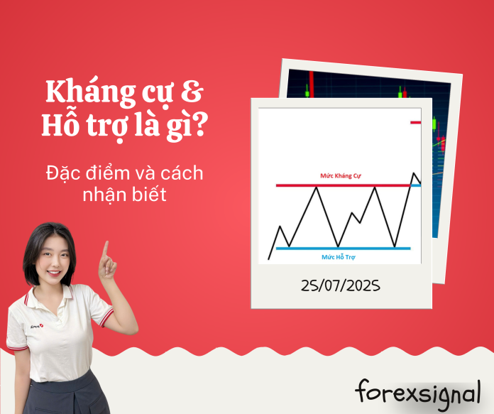 Web kiến thức (1)