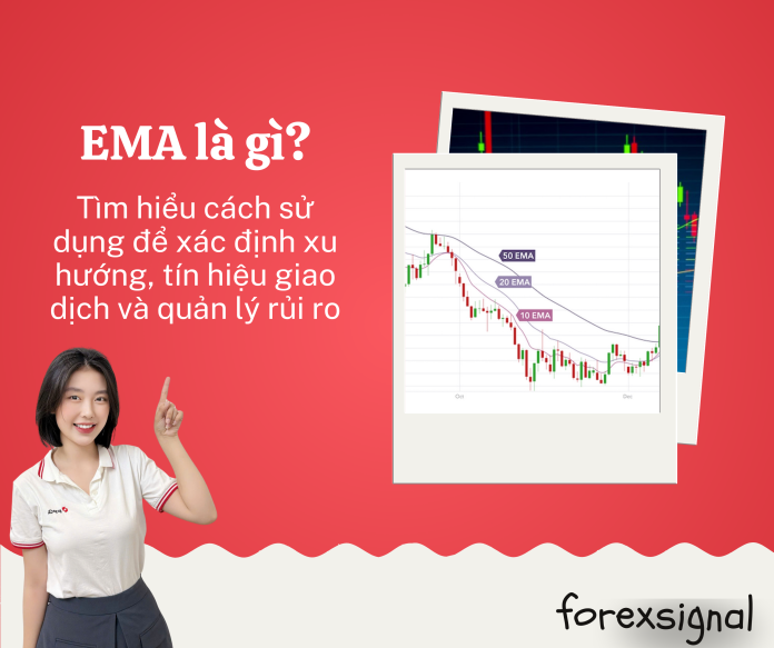 Web kiến thức (6)