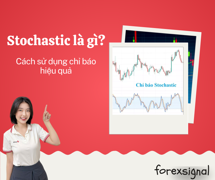 Web kiến thức (2)