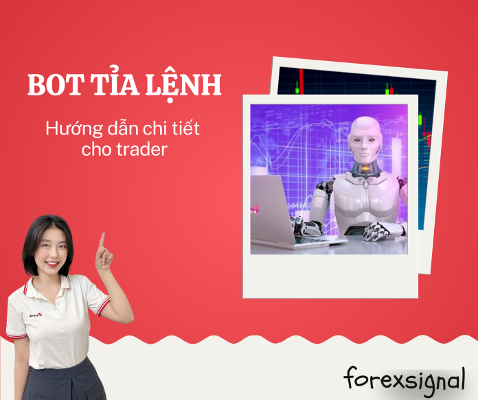 Web kiến thức (2)